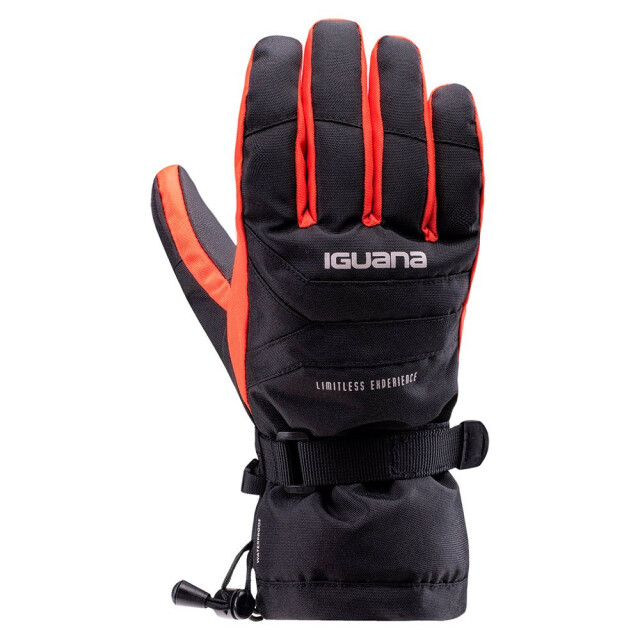 Iguana Heren alessio skihandschoenen UTIG919_blackcherrytomato large