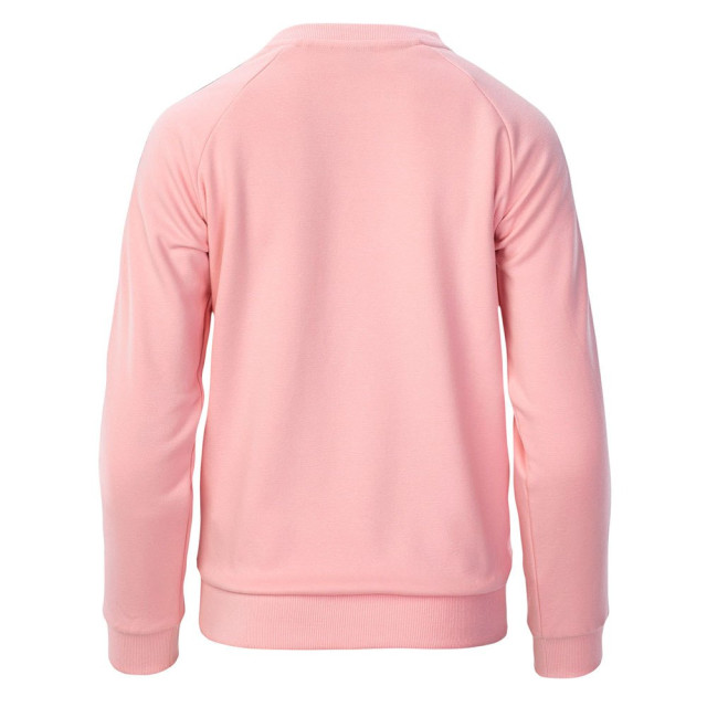 Iguana Dames kauri sweatshirt UTIG411_silverpink large