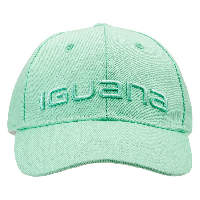 Iguana Dames erde baseballpet UTIG402_birdegggreen large