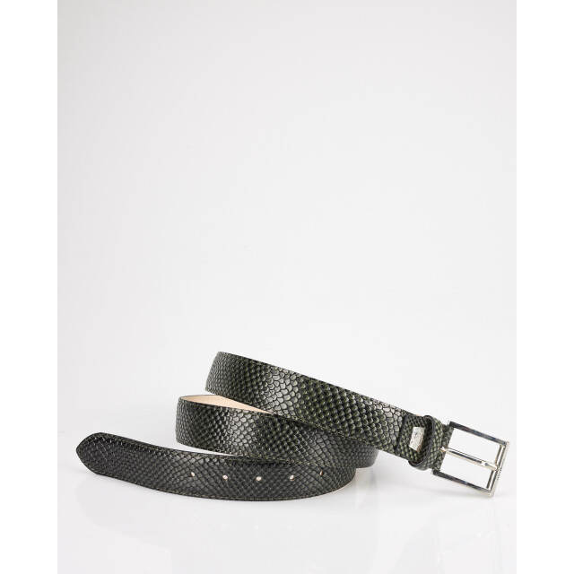 Giorgio 087898-001-115 Riemen Groen 087898-001-115 large