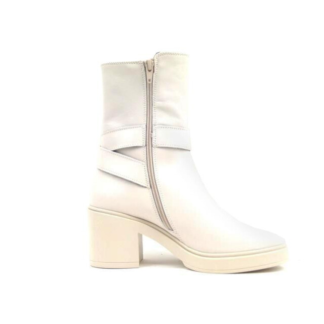 DL Sport 5545 5545 large