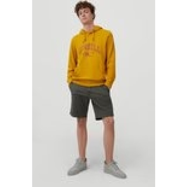 O'Neill Shorts men O'Neill Shorts Men large
