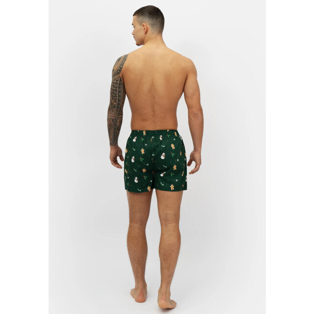 Happy Shorts Heren wijde boxershorts kerst print 2-pack lichtblauw/groen HS-377+378 large