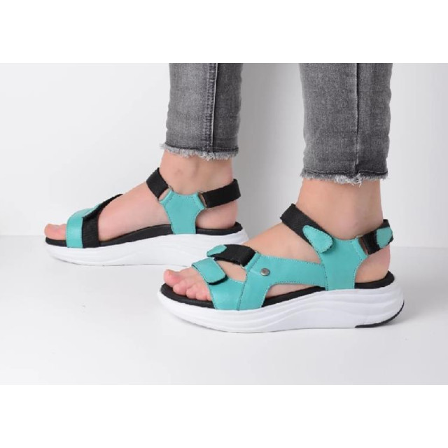 Wolky 0565030 Sandalen Groen 0565030 large