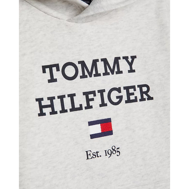 Tommy Hilfiger Joggingpak joggingpak-00052902-grey large