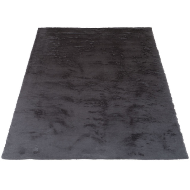 Veer Carpets Vloerkleed gentle black 90 160 x 230 cm 2648407 large