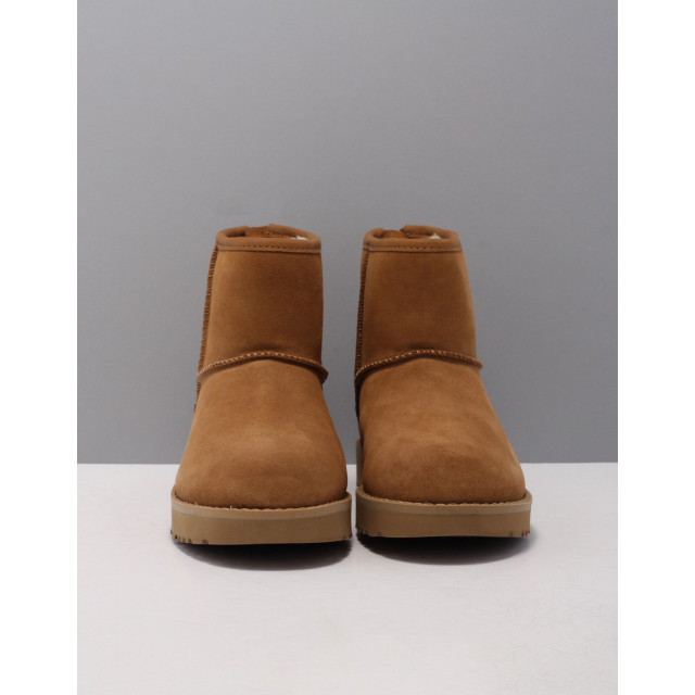 Uggs bruin online dames