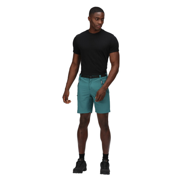 Regatta Heren xert iii stretch shorts UTRG4948_pacificgreen large