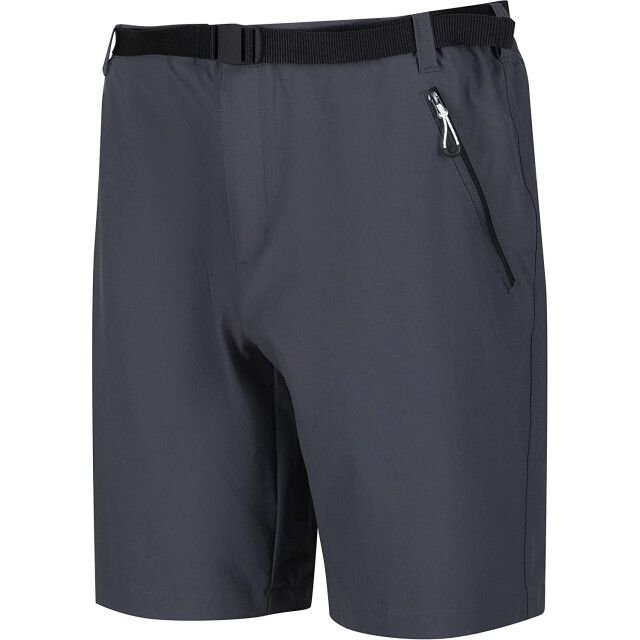 Regatta Heren xert iii stretch shorts UTRG4948_sealgrey large