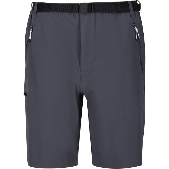 Regatta Heren xert iii stretch shorts UTRG4948_sealgrey large