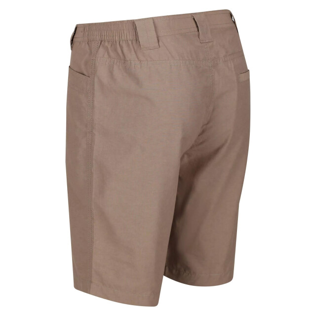 Regatta Heren delgado shorts UTRG4938_goldsand large
