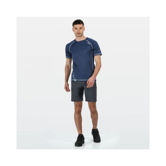 Regatta Heren xert iii stretch shorts UTRG4948_sealgrey large