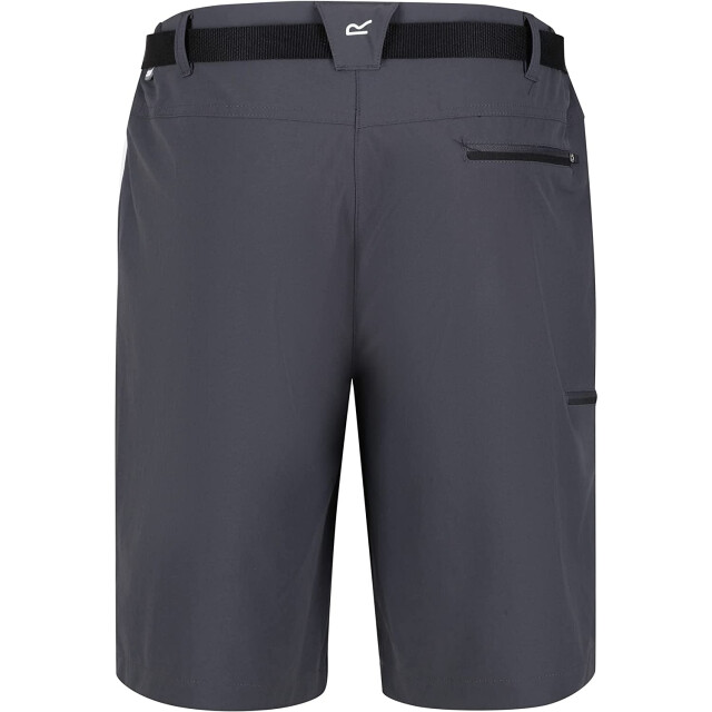 Regatta Heren xert iii stretch shorts UTRG4948_sealgrey large