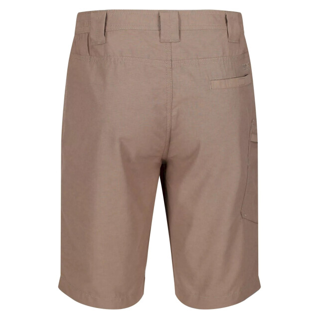 Regatta Heren delgado shorts UTRG4938_goldsand large
