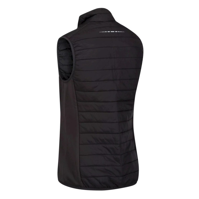 Regatta Dames halton v softshell body warmer UTRG8386_blackash large