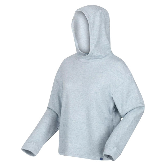 Regatta Dames kassidy marl hoodie UTRG8348_icegrey large