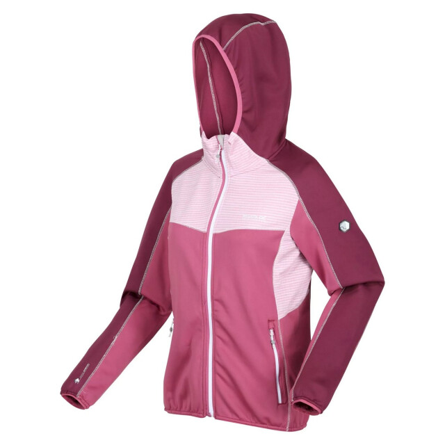 Regatta Dames attare lichtgewicht jas UTRG8254_violetamaranthhaze large
