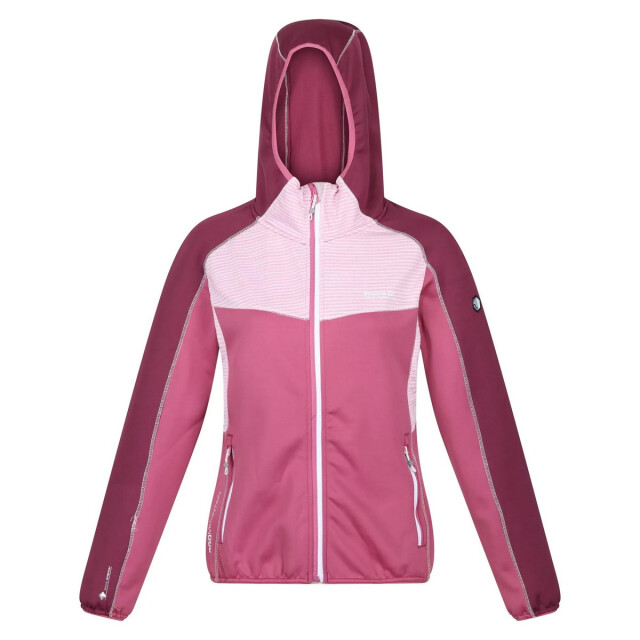 Regatta Dames attare lichtgewicht jas UTRG8254_violetamaranthhaze large