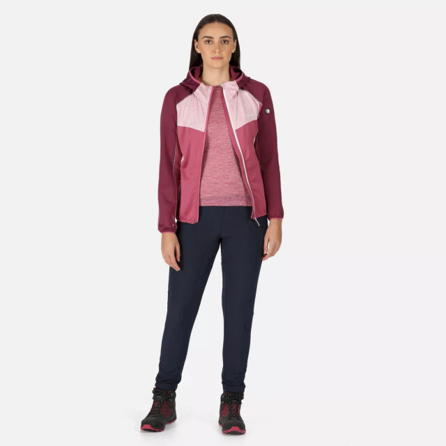 Regatta Dames attare lichtgewicht jas UTRG8254_violetamaranthhaze large