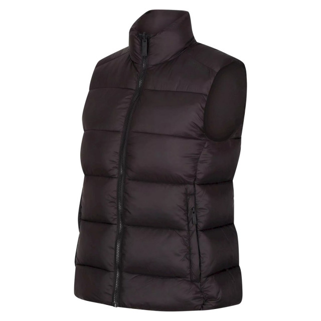 Regatta Dames yewbank omkeerbare bodywarmer UTRG8246_black large