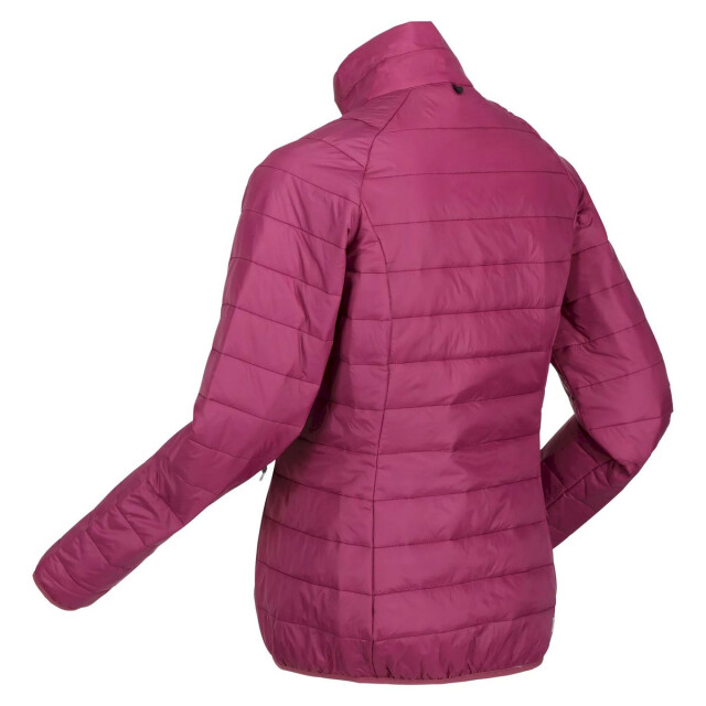 Regatta Dames wentwood vii 2 in 1 waterdichte jas UTRG8279_violetamaranthhaze large