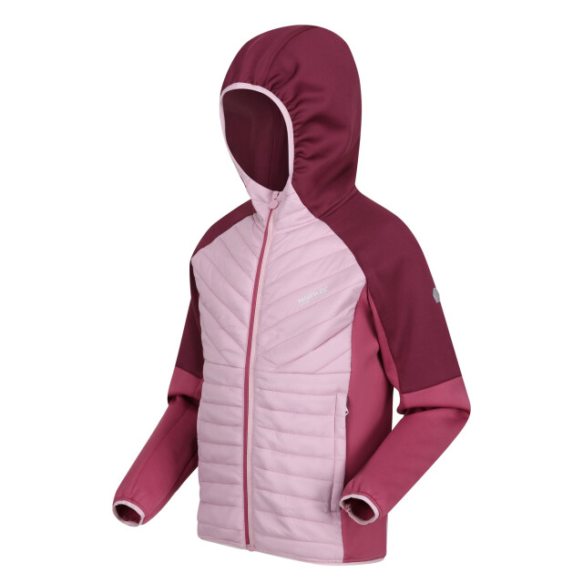Regatta Kinder/kinder kielder hybride vi jas UTRG8178_fragrantlilacvioletamaranthhaze large