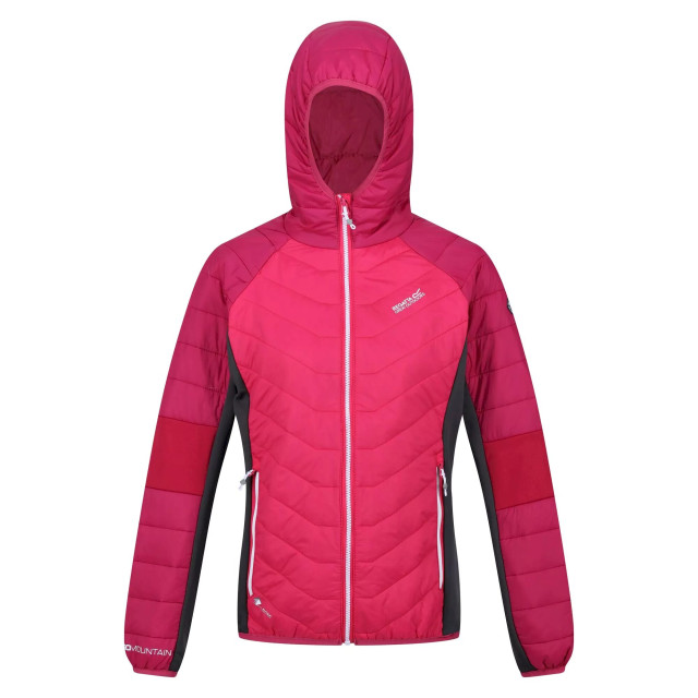 Regatta Dames trutton lichtgewicht gewatteerde jas UTRG8224_pinkpotionberrypink large