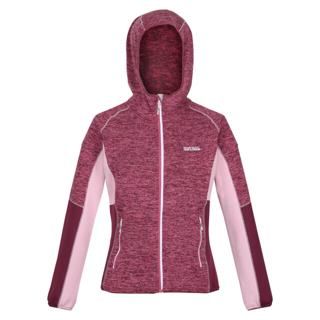 Regatta Dames walbury iv lichtgewicht fleecejack UTRG7992_violetamaranthhaze large