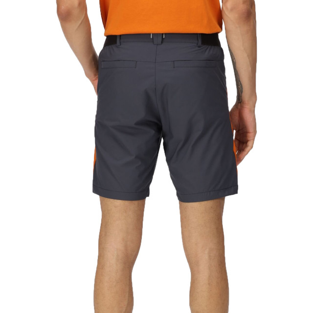 Regatta Heren highton pro shorts UTRG7714_indiagreyfox large