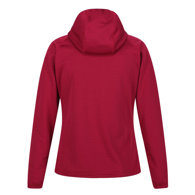 Regatta Dames hartel softshell hoodie UTRG7235_wildplum large