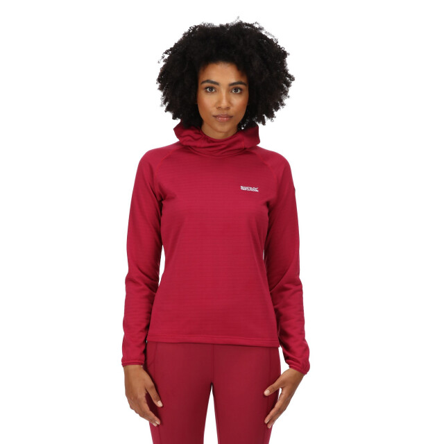 Regatta Dames hartel softshell hoodie UTRG7235_wildplum large