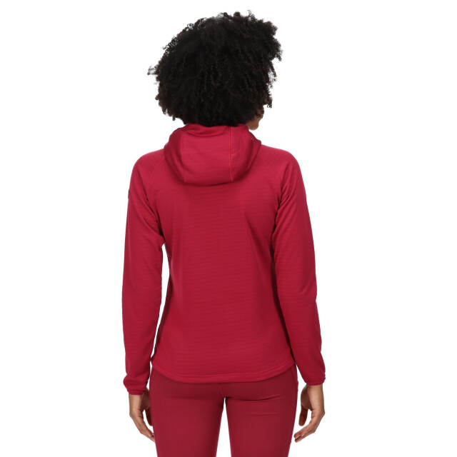 Regatta Dames hartel softshell hoodie UTRG7235_wildplum large