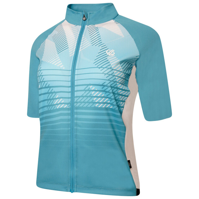 Dare2b Dames empowered lichtgewicht trui UTRG6940_capriblue large