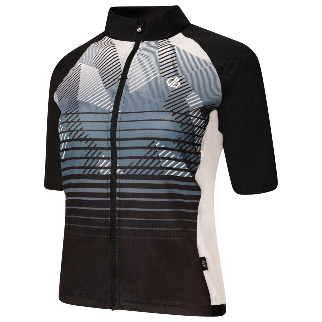 Dare2b Dames empowered lichtgewicht trui UTRG6940_black large