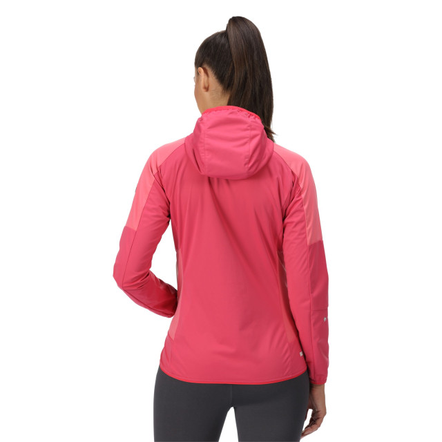 Regatta Dames tarvos iv softshell jas UTRG6867_rethinkpinktropicalpink large