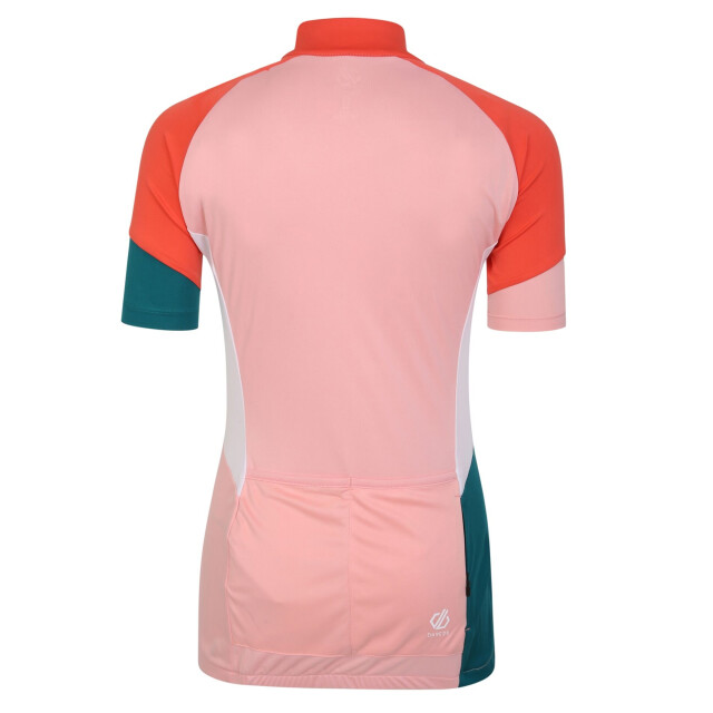 Dare2b Dames compassion ii lichtgewicht trui UTRG6809_apricotneonpeach large