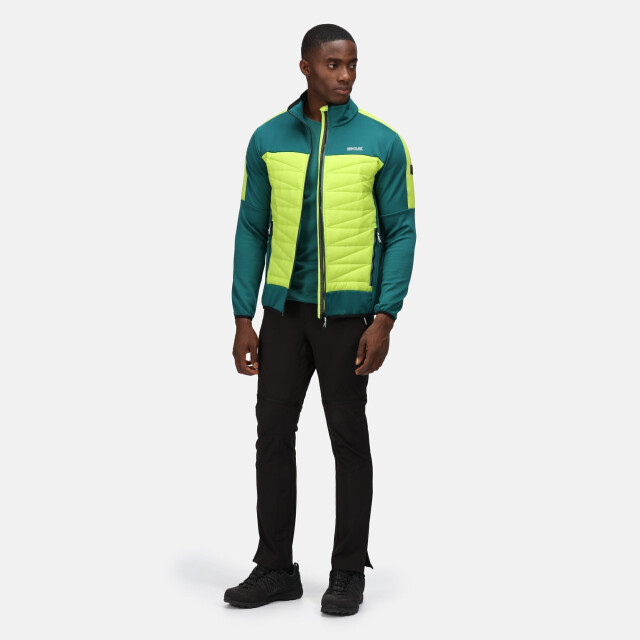 Regatta Heren clumber ii hybride geïsoleerd jasje UTRG6619_pacificgreenbrightkiwi large