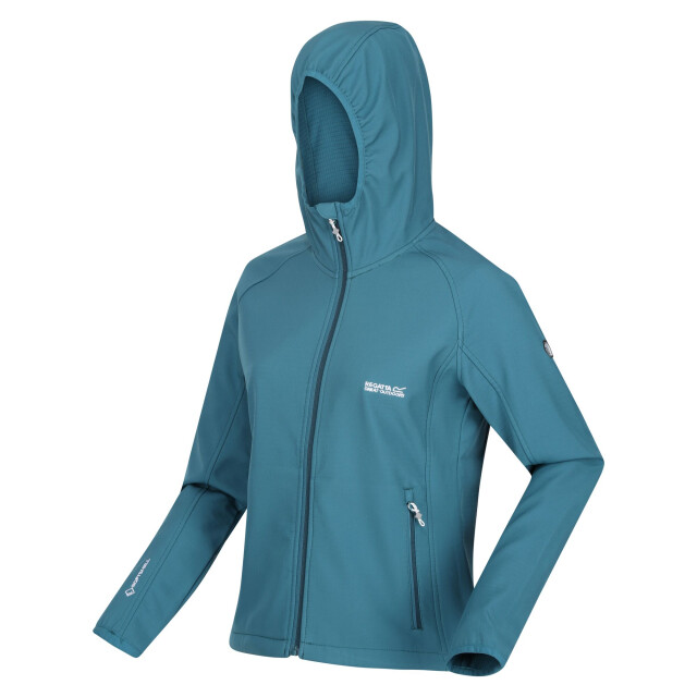 Regatta Dames soft shell-jas UTRG6432_dragonflyink large