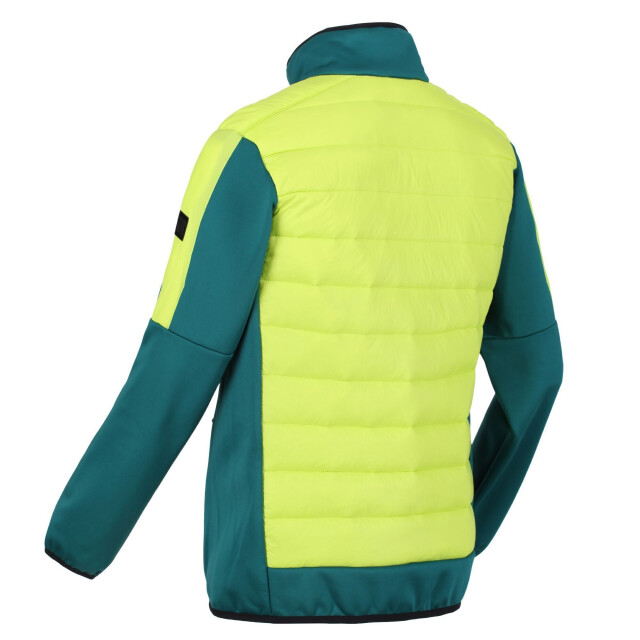 Regatta Heren clumber ii hybride geïsoleerd jasje UTRG6619_pacificgreenbrightkiwi large