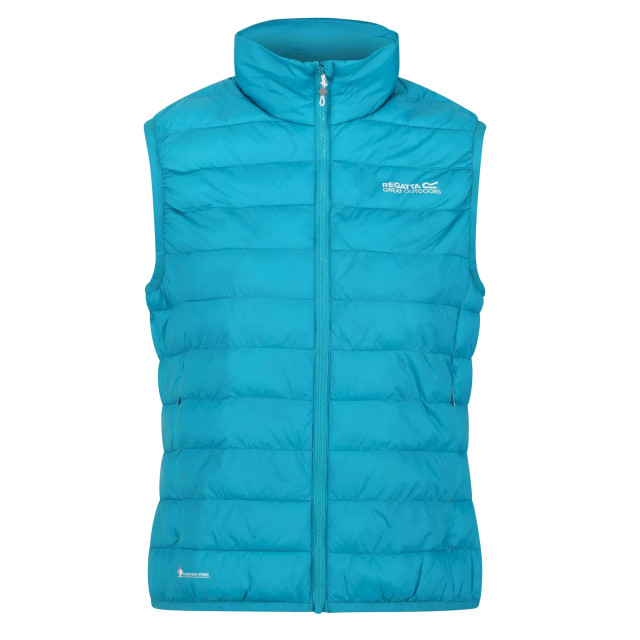 Regatta Dames hillpack geïsoleerde body warmer UTRG6523_enamel large