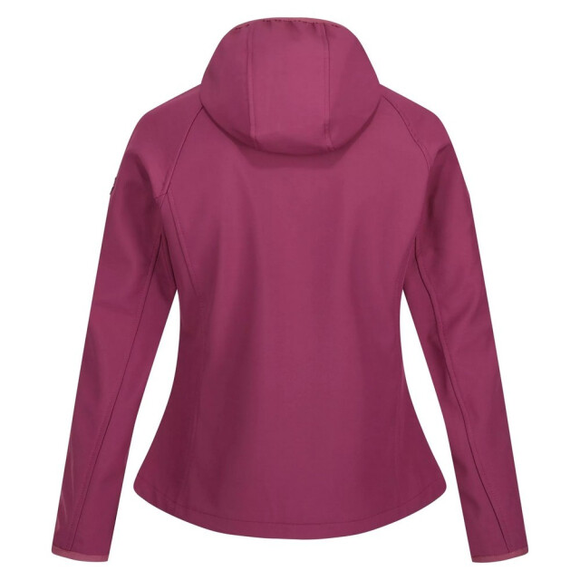 Regatta Dames ared iii soft shell jas UTRG6432_amaranthhaze large
