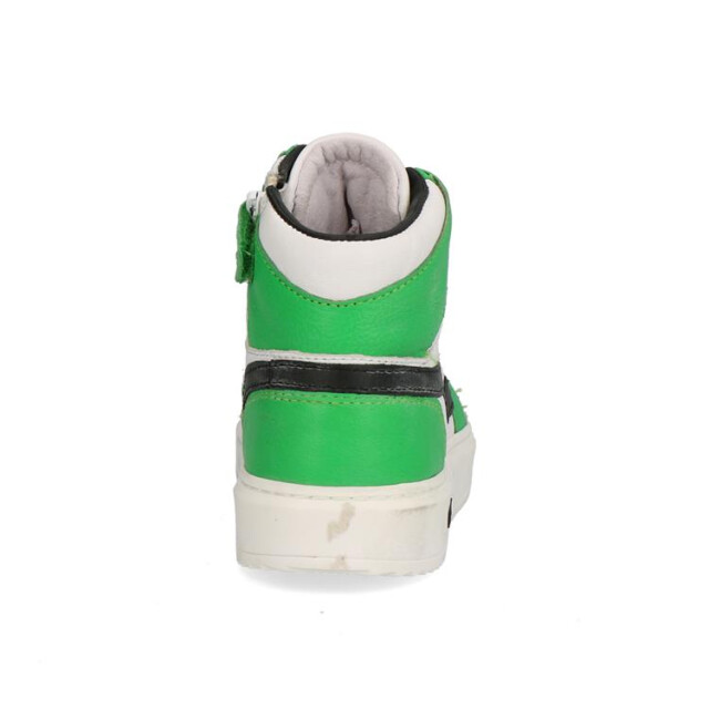 Gattino G1665 G1665 large