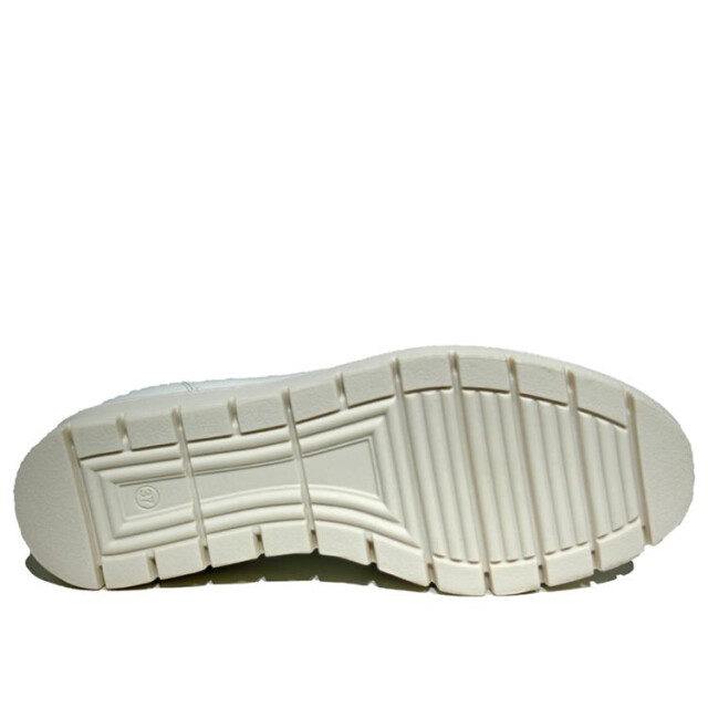 DL Sport 5691 5691 large