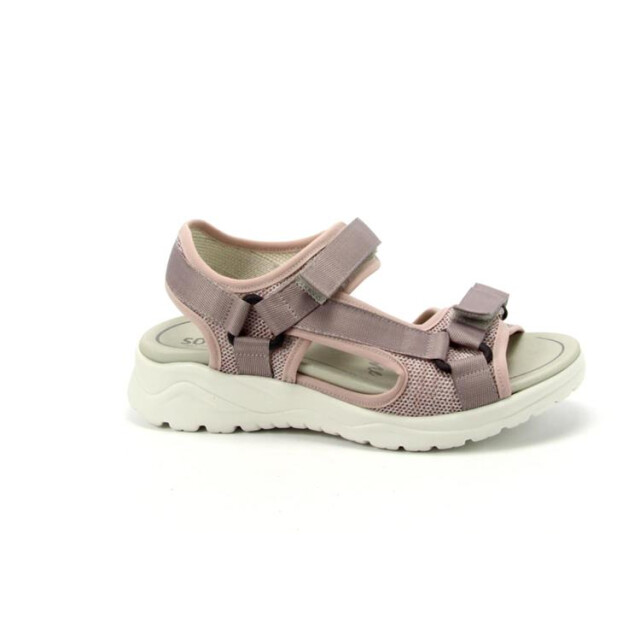 Solidus 62212 62212 Haika large Solidus 62212 62212 Haika large