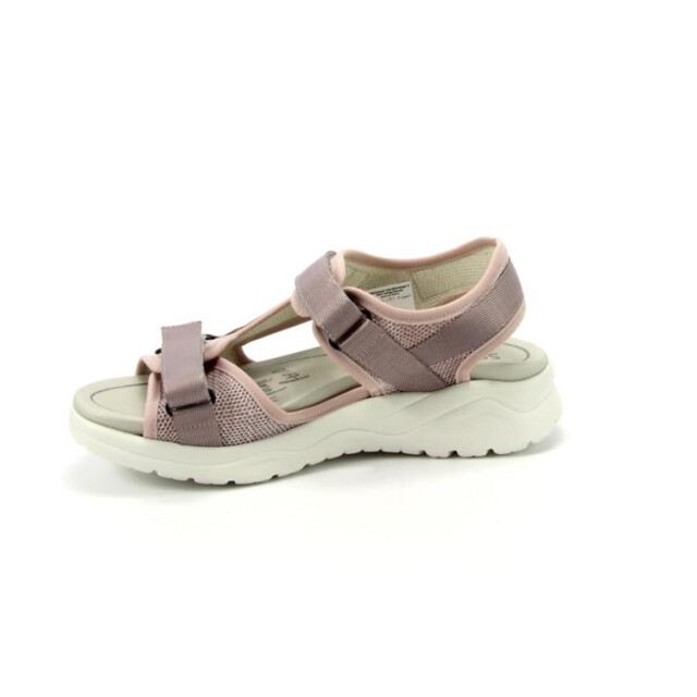 Solidus 62212 62212 Haika large Solidus 62212 62212 Haika large