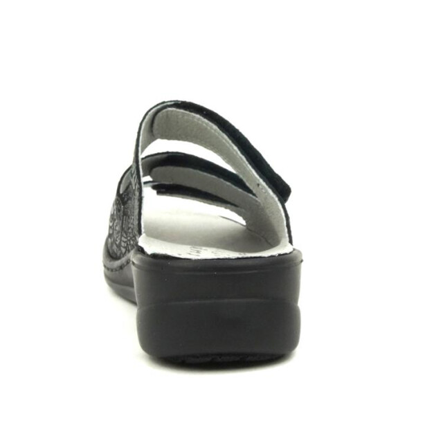 Stuppy 2830 2830 large