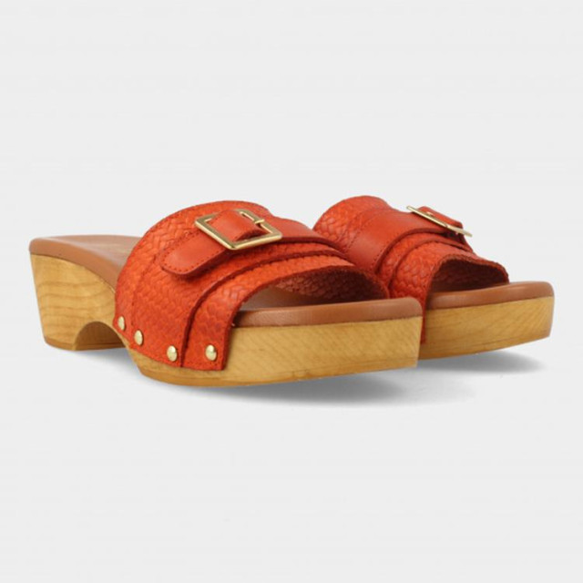 Red Rag 79562 Slippers Oranje 79562 large