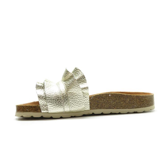 Verbenas Rocio Rocio large