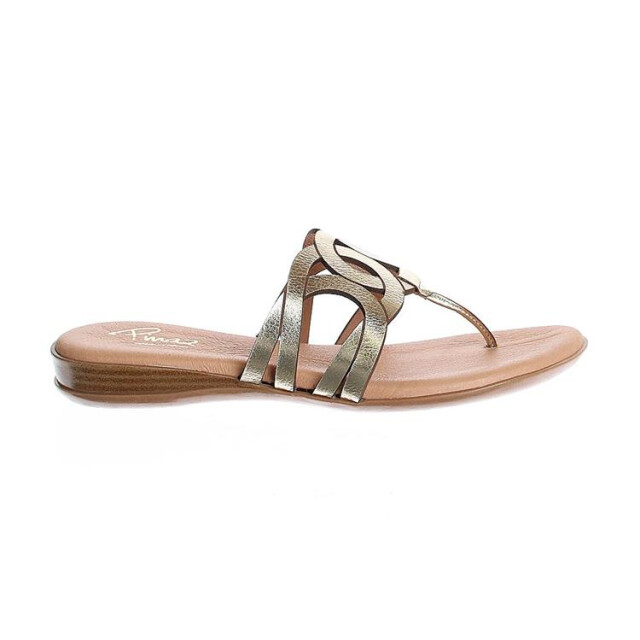 Pinaz 650 650 large