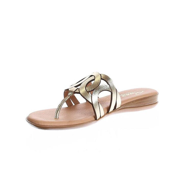 Pinaz 650 650 large